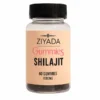 Gummies Shilajit 1000 mg – Ziyada – 60 Gummies au Goût Framboise